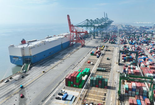 人民日報金社平 中國新能源產(chǎn)業(yè)發(fā)展是全球性貢獻和機遇