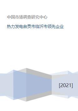 熱力發電自貢市臨沂市領先企業